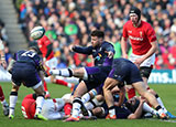 Ali Price kicks the ball for Scotland against Wales during 2019 Six Nations