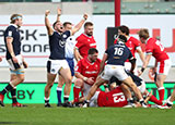 Scotland celebrate winning a penalty at end of match against Wales in 2020 Six Nations