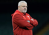 Wales head coach Warren Gatland